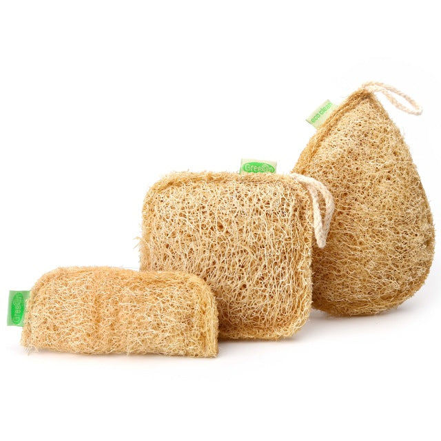 Sustainable Kitchen Sponge